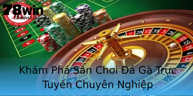 Khám Phá Sân Chơi Đá Gà Trực Tuyến Chuyên Nghiệp Khám Phá Sân Chơi Đá Gà Trực Tuyến Chuyên Nghiệp